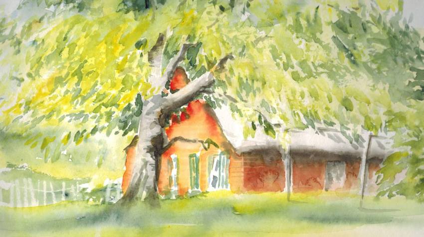 Ahrenshoop Haus mit Kirschbaum